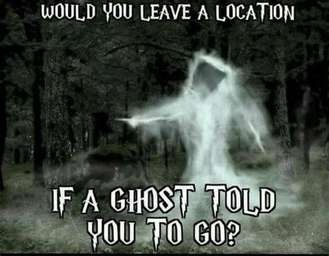Ghosts Told You So This Or That Questions Games For Fun