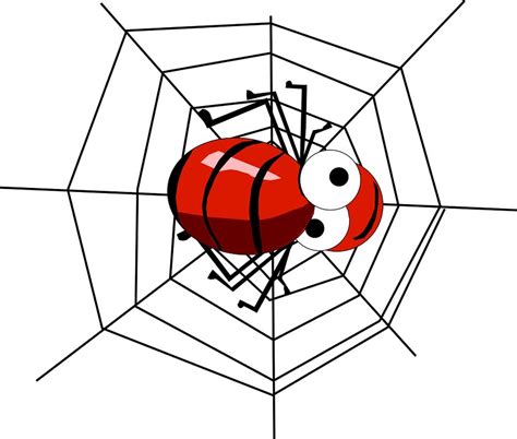Free Illustration Spider Cobweb Network Insect Free Image On