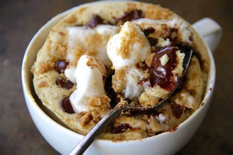 Smores Mug Cake Recipe Favorite Thing In The World Vegan Mug