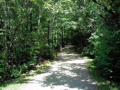 35 Scenic Photos Of Parc Nature Du Bois De Lile Bizard Places