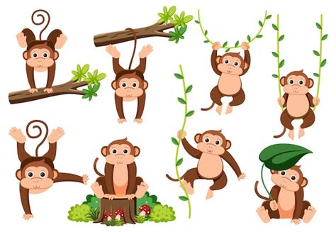 Monkey Clipart Vectors And Illustrations For Free Download Freepik