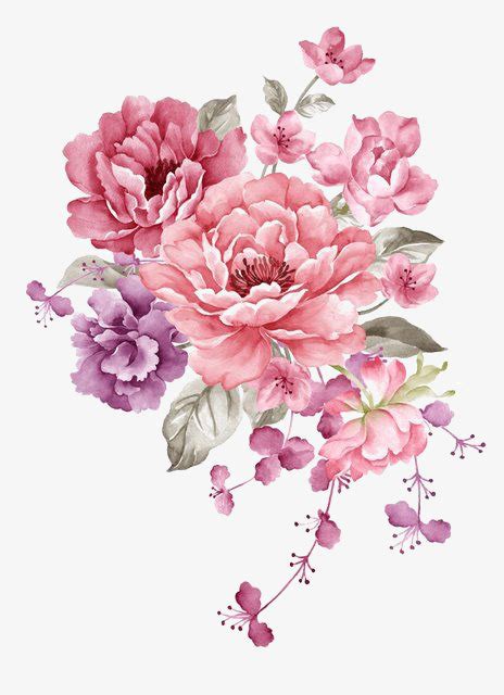 Collection Of Pink Flower PNG PlusPNG