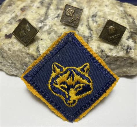 Bsa Tiger Cubs Bobcat Wolf Boy Scouts Cub Scouts Vintage Pin Lot And Hat