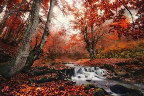 Autumn Forest Landscape With Beautiful Creek And Small Bridgeenchanted
