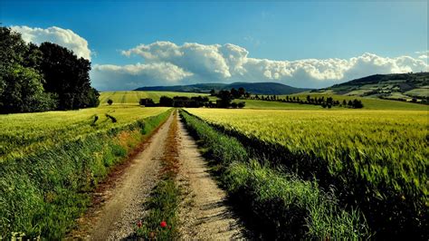 nature, Landscape, Path, Farm, Dirt Road Wallpapers HD / Desktop and ...