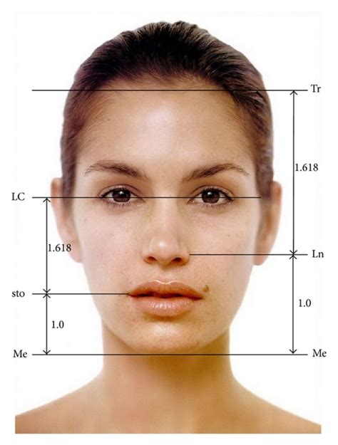 Golden Ratio Face에 대한 이미지 검색결과 Golden Ratio Face Facial Proportions