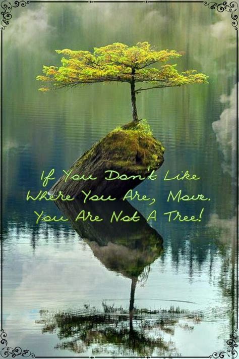 If You Dont Like Where You Are Move You Are Not A Tree Etsy
