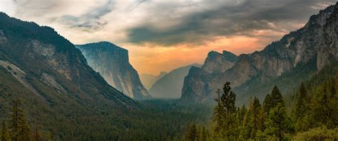 Wallpaper Id Rock Object Rocky Mountain Fog Forest