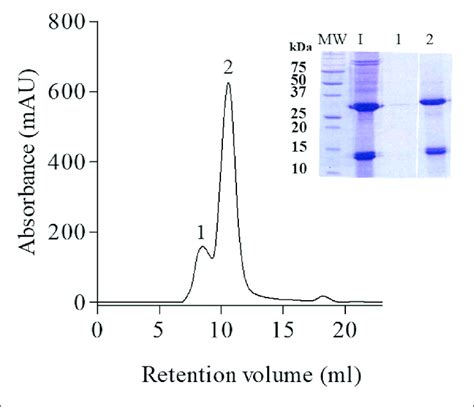 Gel Filtration Chromatography Of The Cry Aa Cry Aa Proteins From B