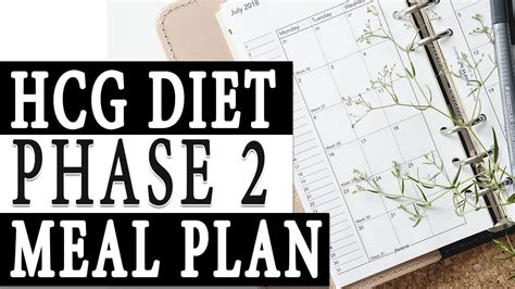 Hcg Diet Phase 2 Meal Plan