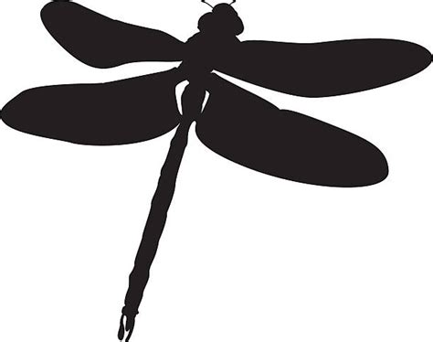 Dragonflies Silhouette Illustrations Royalty Free Vector Graphics