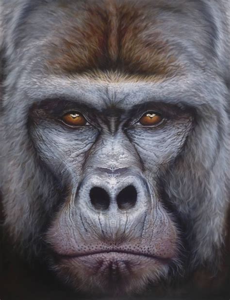 Gorilla Gorilla Mountain Gorilla Painting Animal Paintings