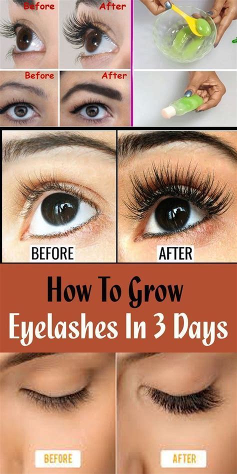 How To Grow Eyelashes In 3 Days Easily Wellness Blog How To Grow