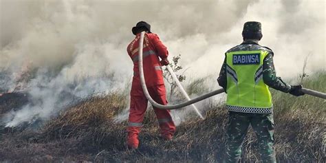 Greenpeace Juta Hektar Lahan Terbakar Dalam Karhutla