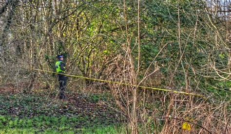 Serious Sexual Assault On Mill Island Nantwich Hunt For Two Men Nantwich News