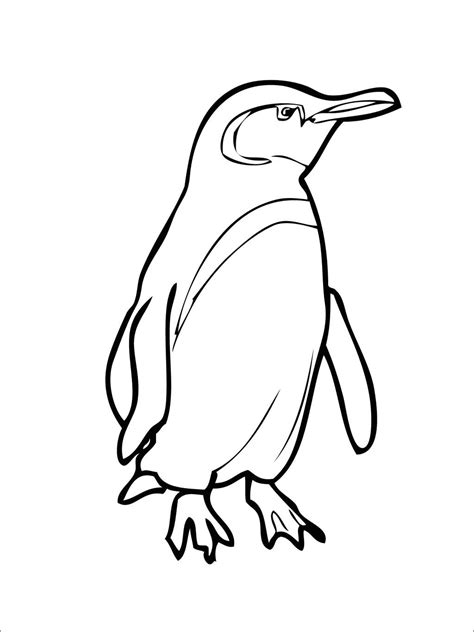Ausmalbilder Pinguin