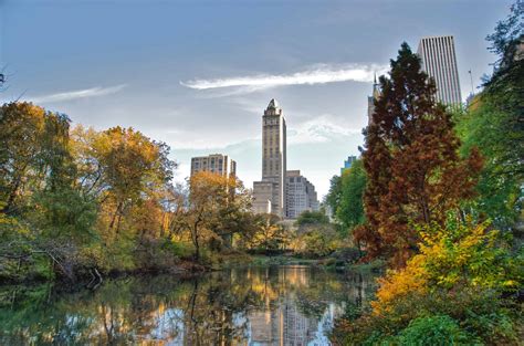 Live Near Central Park And Experience Manhattan Sharedeasy