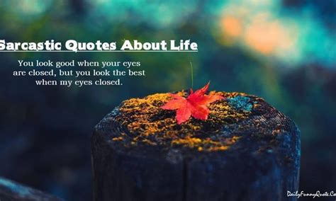 80 Sarcastic Quotes About Life Lessons Daily Funny Quotes