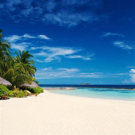 Download Tropical Islands Beach Maldives Holiday Sunny