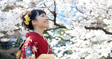 Japan Cherry Blossom Tours 2019 Essence Of Spring
