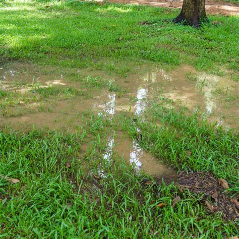 How To Divert Water Away From Your Home Reynolds Restoration Services