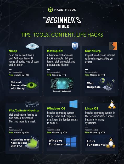 How To Learn Hacking The Step By Step Beginners Bible For 2023