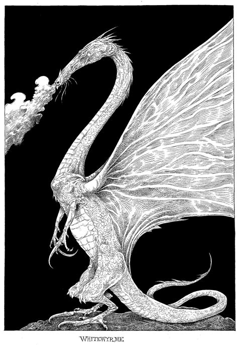 Ink Drawing Illustration Ink Pen Drawings Dragon Art