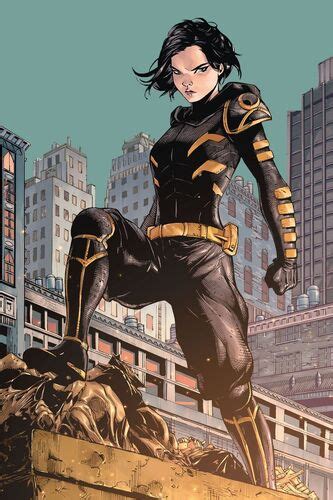 Cassandra Cain Dc Heroes Vs Villains Wiki Fandom
