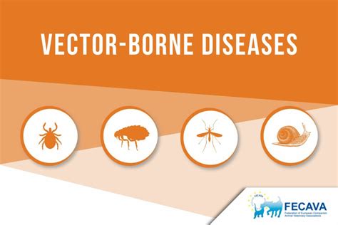 Vector-borne diseases - FECAVA