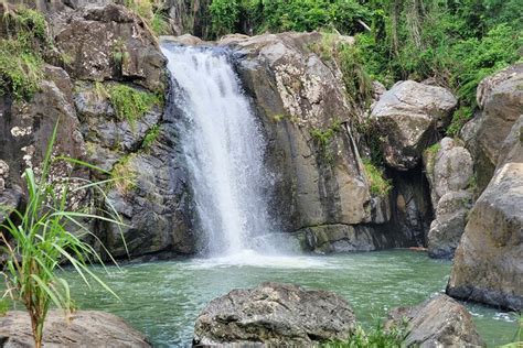 Puerto Rico Tour To El Yunque Rainforest Hiking To Waterfall
