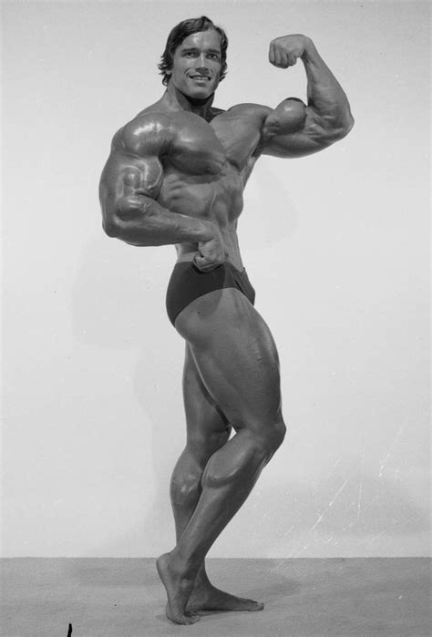 Arnold Schwarzenegger The Best Gallery Of This