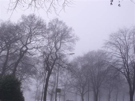 The Trees In The Mist By Swanshurst Park On Swanshurst Lan Flickr