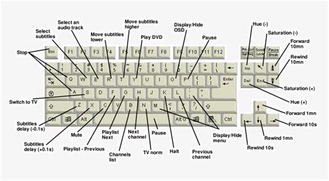 Labeled Keyboard Of Computer