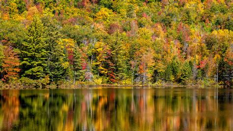 Fall Color Reflections Sandy River Maine Lennycarl08 Flickr
