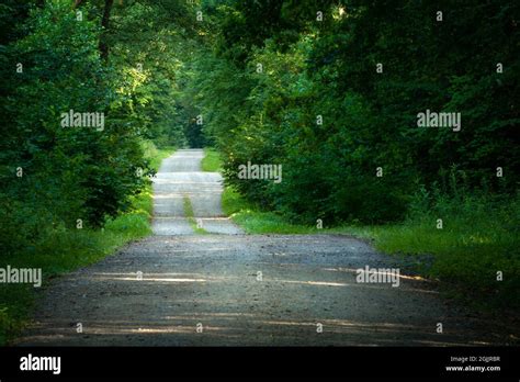 Gravel Road Forest Hi Res Stock Photography And Images Alamy