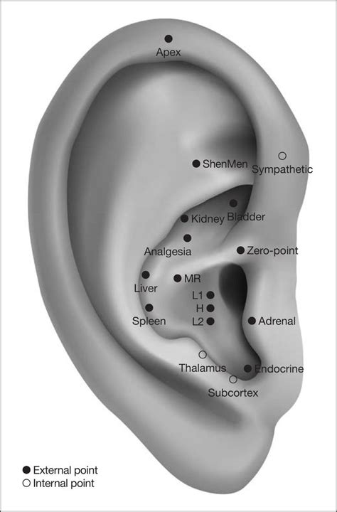 Auriculotherapy Neurophysiology Points To Choose Indications And