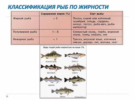 Диеты для похудения низкокалорийная