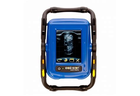 Bcf Ultrasound Easi Scan Smart Display Imv Imaging