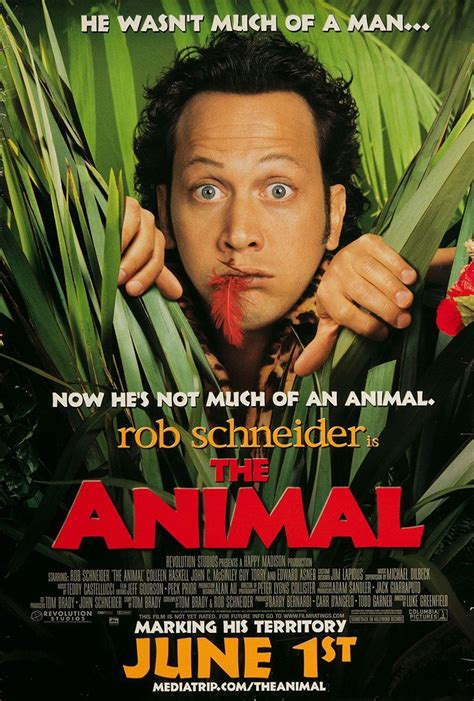 2475 The Animal 2001 720p Webrip Best Horror Movies Comedy Movies
