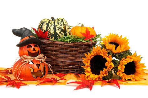 Autumn Basket Celebration · Free Photo On Pixabay