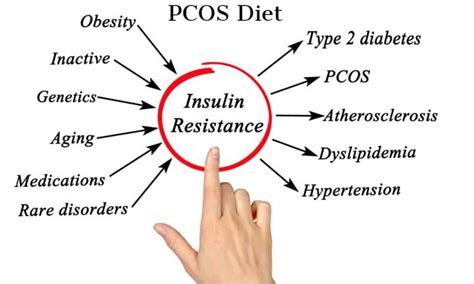 PCOS Diet - Benefits, Foods and Results (UPDATE: Jul 2018 ...