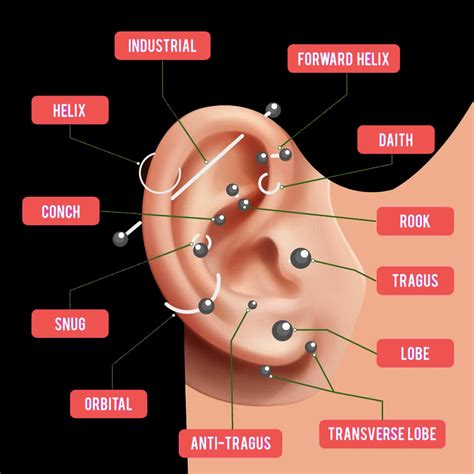 Parts Of The Ear Piercing Chart