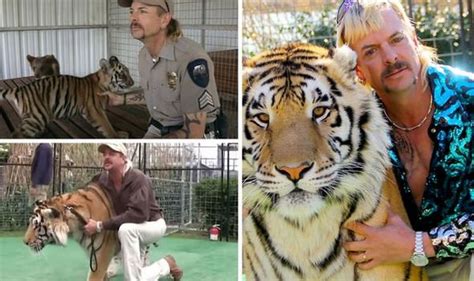 Zoo) in wynnewood, oklahoma from 1998 to 2018. Tiger King: How many tigers did Joe Exotic keep? What ...