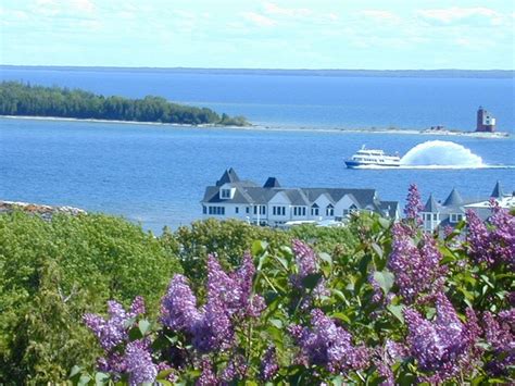 Check spelling or type a new query. Lilacs on Mackinac Island - Hotel Iroquois (With images ...