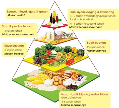 Pengertian piramida makanan dan contohnya dilengkapi gambar. Suffy | PERANCANGAN PEMAKANAN