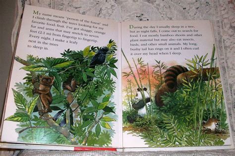 Wild Animal Pop Ups Forest Animals By Luise Woelflein 1993 Hardcover