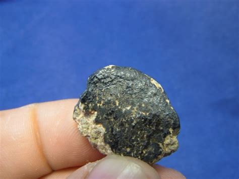 Nwa 8339 Eucrite Meteorites