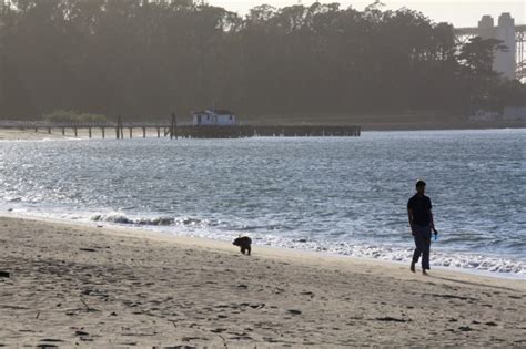 Crissy, a pilot who perished in 1919. Crissy Field - West Bluff Beach, San Francisco, CA ...