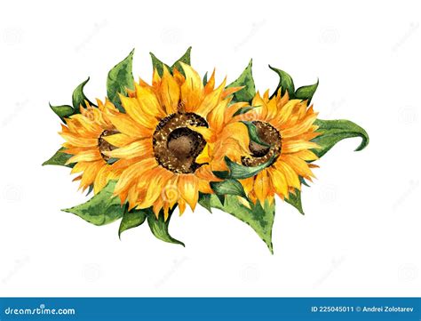 Watercolor Illustration Of A Wreath Of Sunflower Flowers And Leaves Stock Vector Illustration
