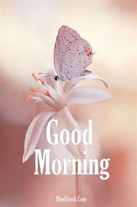Maybe you would like to learn more about one of these? 267+ Download Beautiful Good Morning Images HD with Quotes